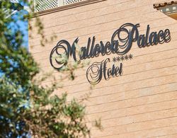 CM Mallorca Palace Hotel - Adults Only Dış Mekan