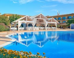 CM Mallorca Palace Hotel - Adults Only Genel