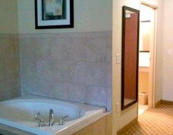 Cobblestone Hotel & Suites -- Newton, IL Genel