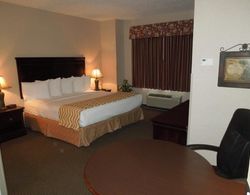 Cocca's Inn & Suites Wolf Rd, Albany Airport Genel