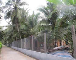 Coconut Homestay Dış Mekan