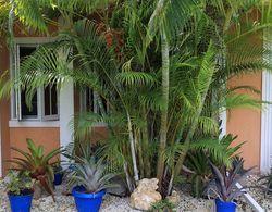 Coconut Palm Hideaway Dış Mekan