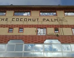 Coconut Palm Hotel Öne Çıkan Resim