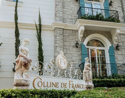 Hotel Colline de France Dış Mekan