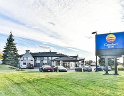 Comfort Inn Aeroport Dorval Genel