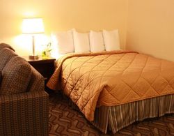 Comfort Inn and Suites Ambassador Bridge Windsor Genel