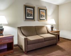 Comfort Inn and Suites Crabtree Valley Genel