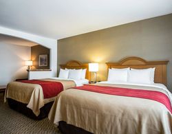 Comfort Inn And Suites Genel
