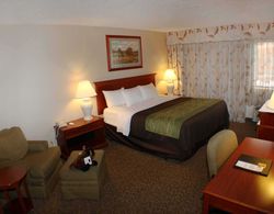 Comfort Inn at Buffalo Bill Village Resort Genel