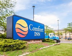 Comfort Inn Bourbonnais Area Genel