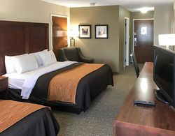 Comfort Inn Clemson - University Area Genel
