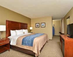 Comfort Inn Elizabeth City near University Genel