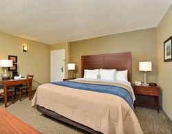 Comfort Inn Elizabeth City near University Genel