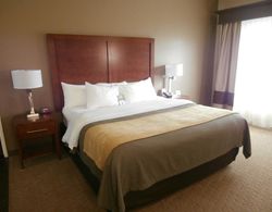 Comfort Inn & Executive Suites Genel