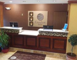 Comfort Inn Huntington Lobi