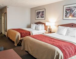 Comfort Inn Indianapolis South I-65 Genel