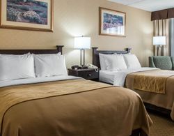 Comfort Inn Lancaster County North Genel