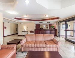 Comfort Inn Lenoir City Genel