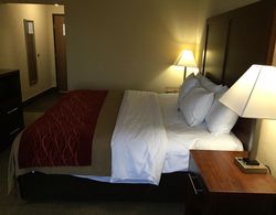 Comfort Inn Lexington Southeast Genel