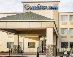 Comfort Inn Mayfield Heights Cleveland Genel