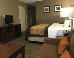 Comfort Inn MSP Airport - Mall of America Genel