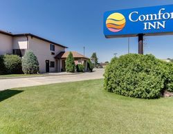 Comfort Inn Onalaska - La Crosse Area Genel