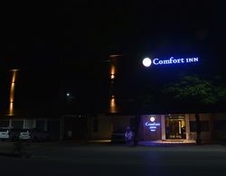 Comfort Inn Prince Genel