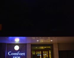 Comfort Inn Prince Genel