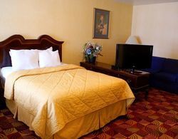 Comfort Inn Red Bluff Genel