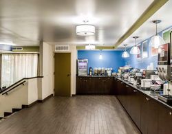 Comfort Inn & Suites Airport Clearwater Yeme / İçme