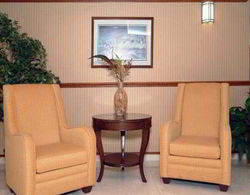 Comfort Inn & Suites Airport Convention Center Genel