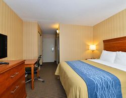 Comfort Inn & Suites Alexandria Area Genel