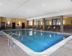 Comfort Inn & Suites Allen Park - Dearborn Havuz