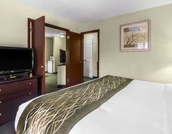 Comfort Inn & Suites at Robins Air Force Base Genel