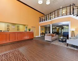 Comfort Inn & Suites at Stone Mountain Genel
