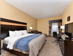 Comfort Inn & Suites at Stone Mountain Genel