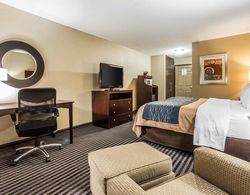 Comfort Inn & Suites Ballpark Area Genel