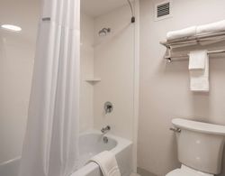 Comfort Inn & Suites Banyo Tipleri