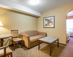 Comfort Inn & Suites Calgary Genel