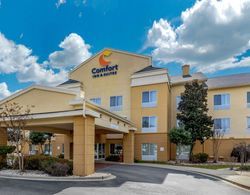 Comfort Inn & Suites Camden Genel