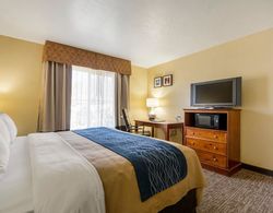 Comfort Inn & Suites Cedar City Genel