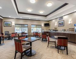 Comfort Inn & Suites Cedar Hill Duncanville Yeme / İçme