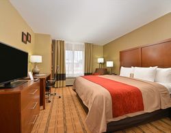 Comfort Inn & Suites Cedar Rapids Genel