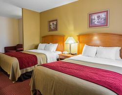 Comfort Inn & Suites Chesapeake - Portsmouth Genel