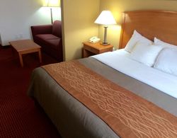 Comfort Inn & Suites Chesapeake - Portsmouth Genel