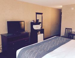 Comfort Inn & Suites Coldwater Area Genel