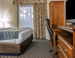 Comfort Inn & Suites Coldwater Area Genel