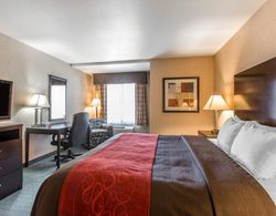 Comfort Inn & Suites Colton Genel