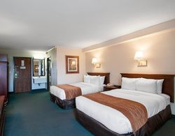 Comfort Inn & Suites Danville Area Genel