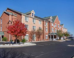 Comfort Inn & Suites Dayton North Genel